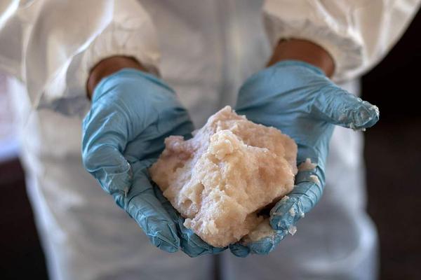 国产拗女高清资源展示