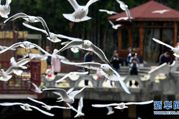 黄色软件有哪些资源解析，高清全集推荐