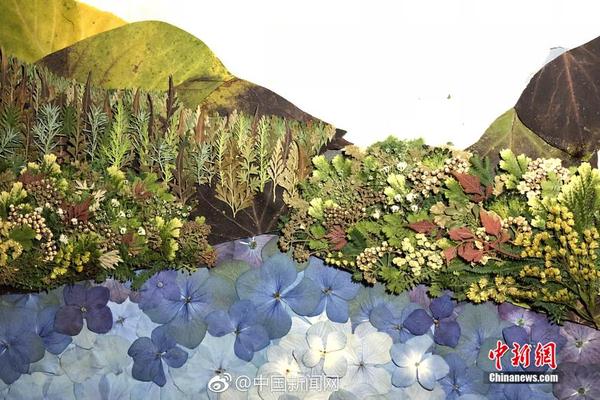 刘亦菲高潮了60分钟高清资源