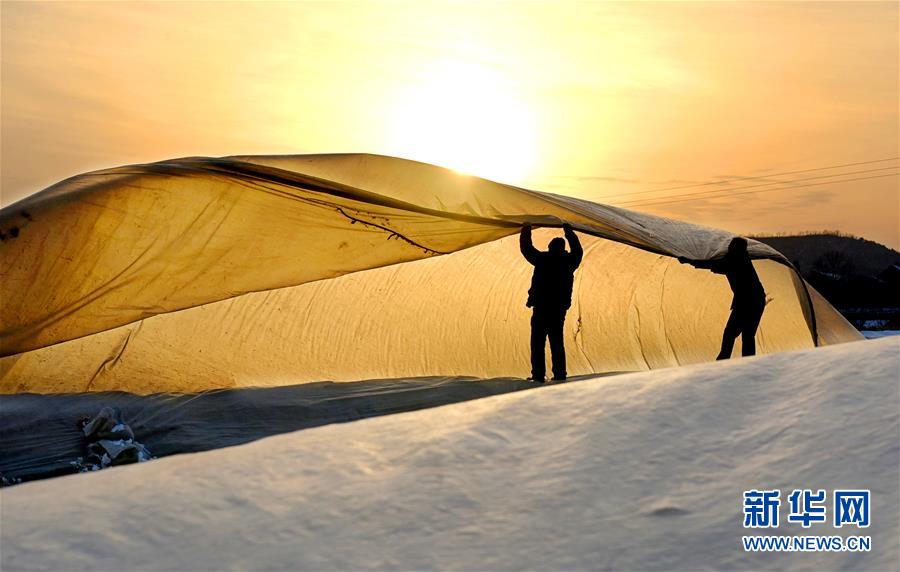 妈妈的女朋友2韩剧网高清资源推荐